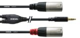Adapterkabel 2 x XLR m - Minijack stereo m, Cordial CFY 1.8 WMM, 1.8m (REAN Armaturen)